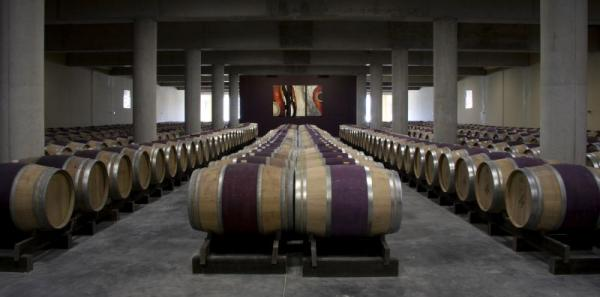 Glenelly wine cellar, South Africa